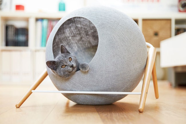 Photo of Дизайнерская мебель для животных: комфорт и стиль для ваших питомцев